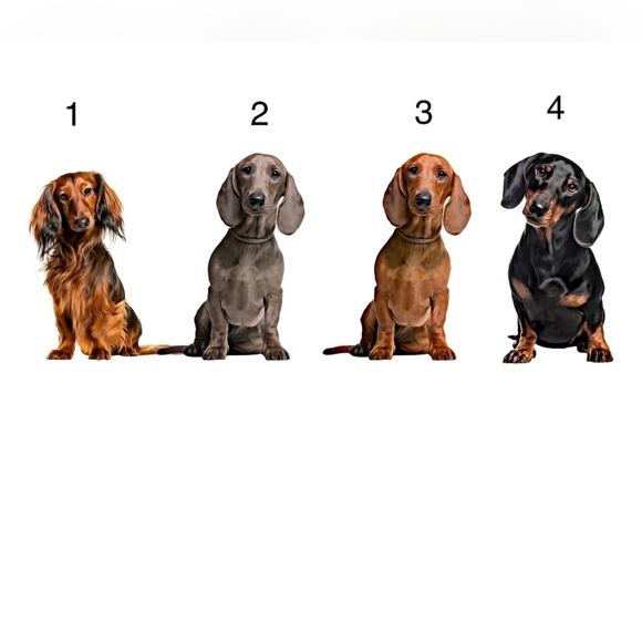 (1) Custom Dachshund Tumbler, Dachshund Mom,Dachshund Dad - Picture 2 of 10